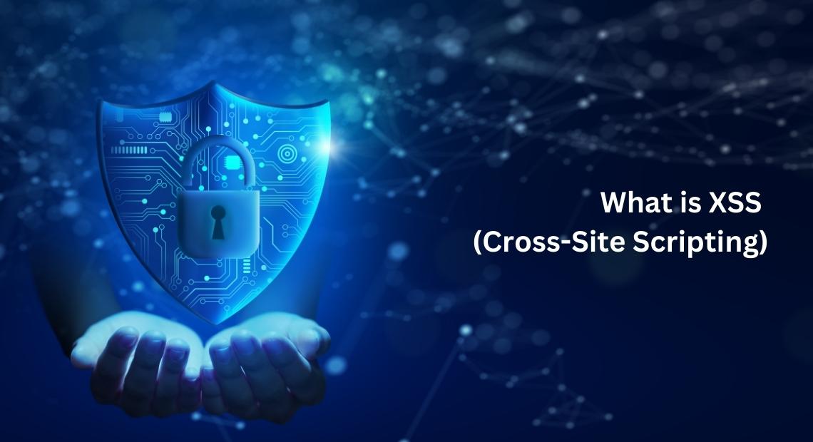 How To Protect Your Website Against A Cross-Site Scripting (XSS